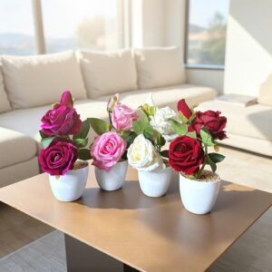 Arreglo de Rosas Dobles en Maceta Colores